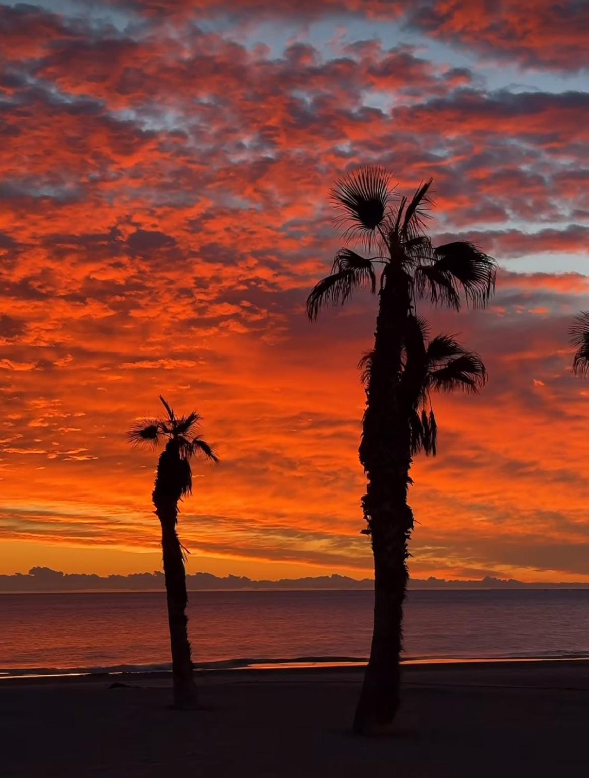 Ferienwohnung Stunning Sea View Alicante Exterior foto