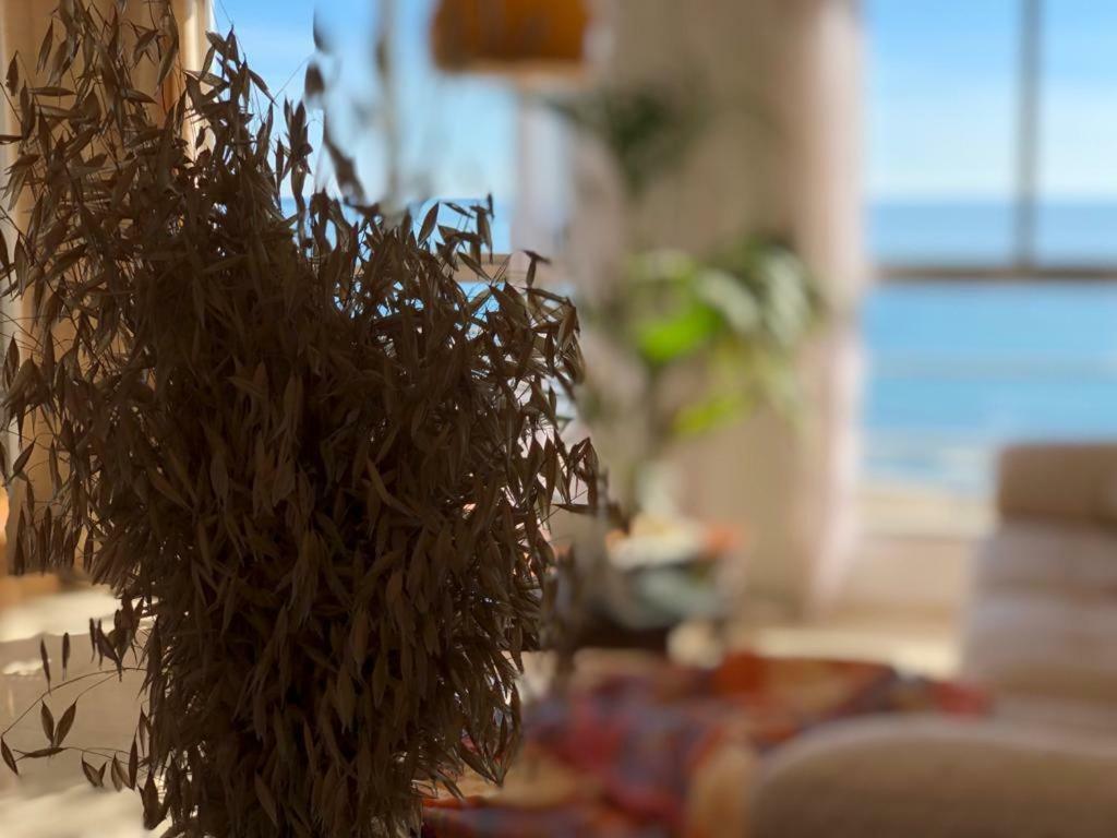 Ferienwohnung Stunning Sea View Alicante Exterior foto
